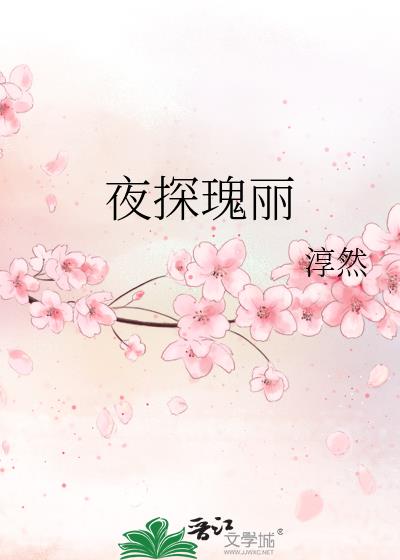 夜探瑰丽